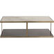 Kamali 60 X 30 inch Matte / Antique Gold Coffee Table